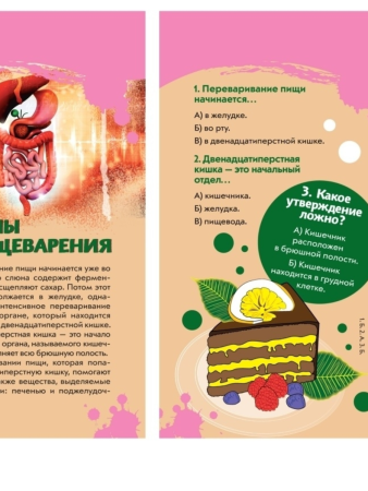 Викторина на карточках: Тело человека. Суперквиз! ROS-37472