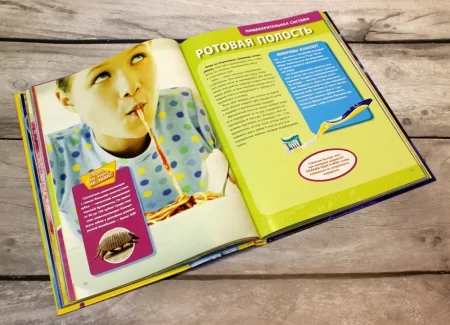 Книга: Большая энциклопедия. Тело человека EKS-019549