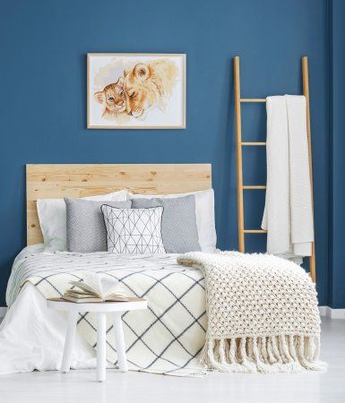 Набор для раскрашивания по номерам (на картоне) ФРЕЯ 40 х 30 см "Львёнок и львица" PKZ/PM-018