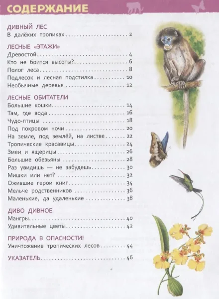 Книга: Джунгли (Энциклопедия для детского сада) ROS-35067