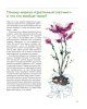 Книга: Цветочный скетчинг. Как создавать быстрые зарисовки цветов и растений EKS-662066