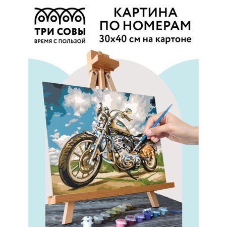 Картина по номерам на картоне ТРИ СОВЫ "На скорости" 30 x 40 см с акриловыми красками и кистями RE-КК_44056