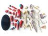 Анатомический набор Edu-Toys Muscle&Skeleton TT-SK056