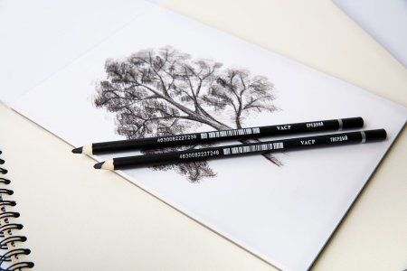 Угольные карандаши VISTA-ARTISTA 4 шт ассорти в блистере VACPB-4