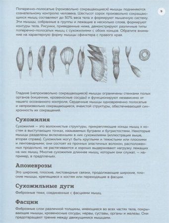 Книга: Анатомия для художников. Практический курс EKS-998876