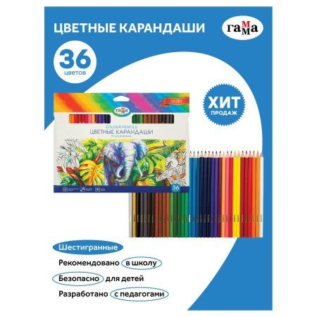 Карандаши цветные ГАММА "Классические" 36 цв заточенные, карт. упаковка, европодвес RE-050918_05_05