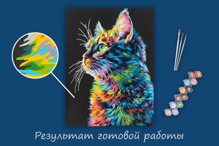 Набор для раскрашивания по номерам (черный холст) ФРЕЯ 40 х 30 см "Портрет котика" PNB/PMB-294