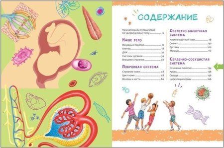 Книга: Человек. Новая детская энциклопедия ROS-37888