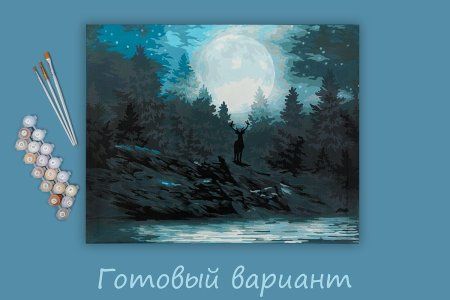Набор для раскрашивания по номерам (холст на подрамнике) ФРЕЯ 50 х 40 см "Таинственная луна" PNB/PL-092