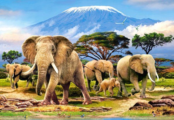 Пазл Castorland 1000 KILIMANJARO MORNING C-103188