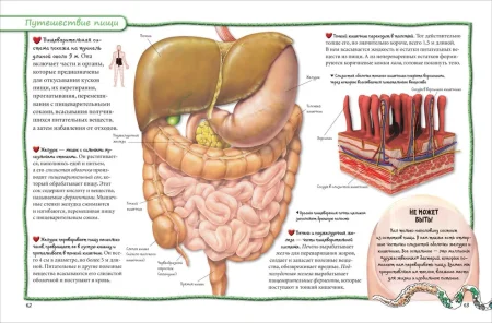Книга: Всё обо всем. Энциклопедия интересных фактов ROS-34245