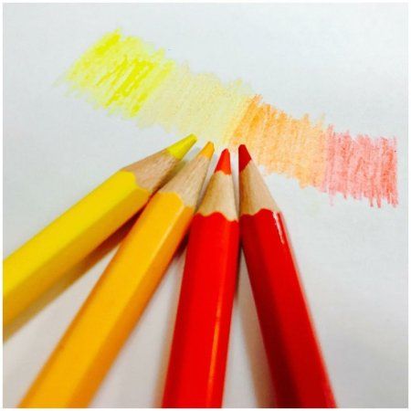 Карандаши цветные JOVI 12 цв заточенные, картон, европодвес RE-730/12