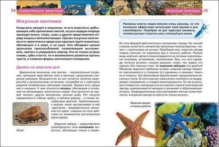 Книга: Удивительные животные (ДЭР) ROS-21997