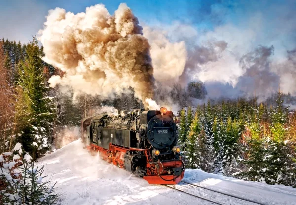 Пазл Castorland 1000 STEAM TRAIN C-103409