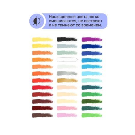 Пастель масляная ГАММА "Студия" 36 цв, картон. упаковка RE-160320207