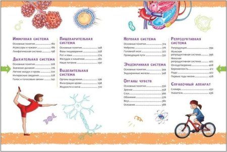 Книга: Человек. Новая детская энциклопедия ROS-37888