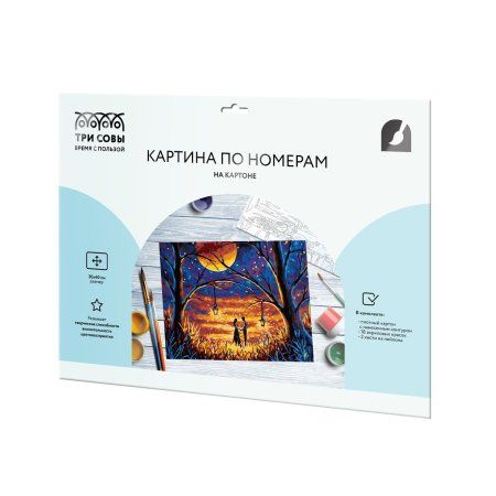 Картина по номерам на картоне ТРИ СОВЫ "Таинство" 30 x 40 см, краски, кисть RE-КК_53773