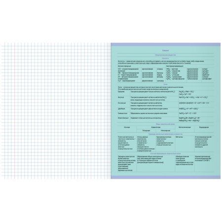 Тетрадь предметная 48л. MESHU "Ученый MISHKA" - Русский язык, матовая ламинация, выборочный УФ-лак, тиснение фольгой RE-MS_47951