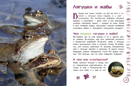 Книга: Животные. Большая детская энциклопедия EKS-713713