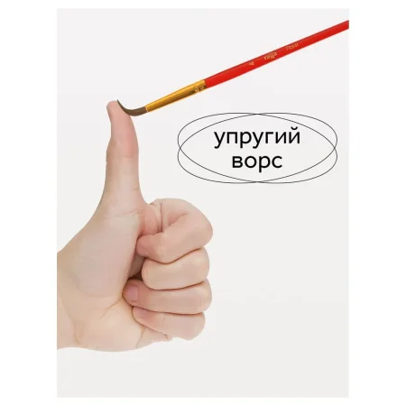 Набор кистей ГАММА "Классические" 5 шт пони, круглые № 1, 2, 3, 4, 5, блистер, европодвес RE-230818.01.01