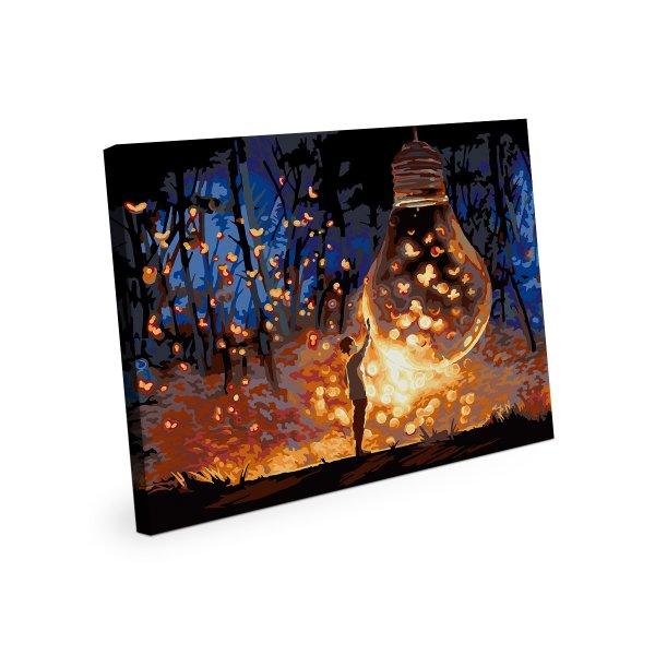 Набор для раскрашивания по номерам (со светодиодами) ФРЕЯ 50 х 40 см "Вспышки в ночи" PNB/PLDD-390