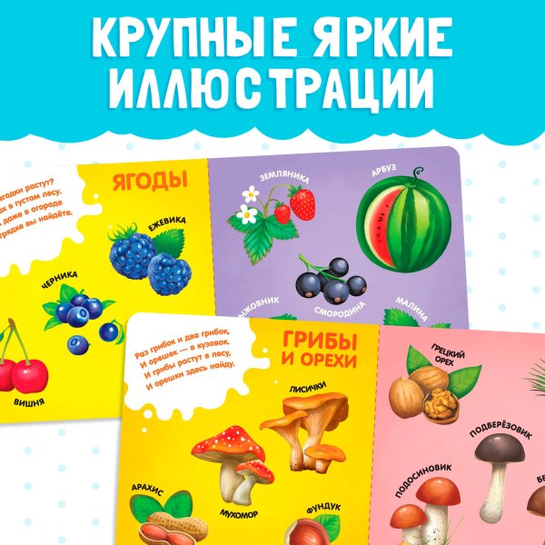 Книга развивающая "Фрукты, овощи и не только" SIM-4021442