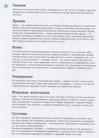 Книга: Анатомия для художников. Практический курс EKS-998876