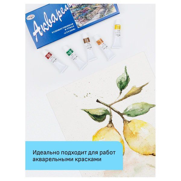 Папка для акварели ГАММА "Студия" 200 г/м2 А3 10л. среднее зерно RE-30C03F710W