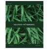 Тетрадь 48л. A5 клетка BG "Тайны природы" матовая ламинация, с форзацем, 70 г/м2 RE-Т5ск48_лм_11870