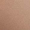 Бумага цветная CLAIREFONTAINE Maya 120 г/м2 A4 1 л, светло-коричневый (light brown) RH-97374C