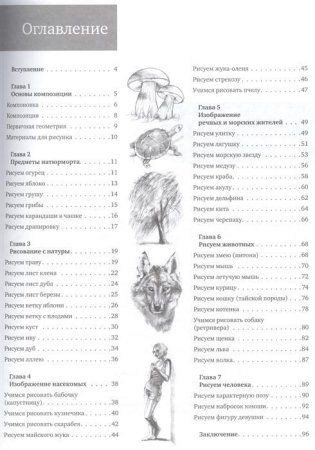 Книга П: Простые уроки рисования для начинающих. 978-5-4461-0179-5