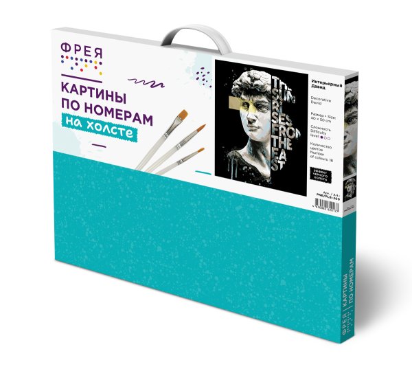 Набор для раскрашивания по номерам (черный холст) ФРЕЯ 50 х 40 см "Интерьерный Давид" PNB/PLB-300