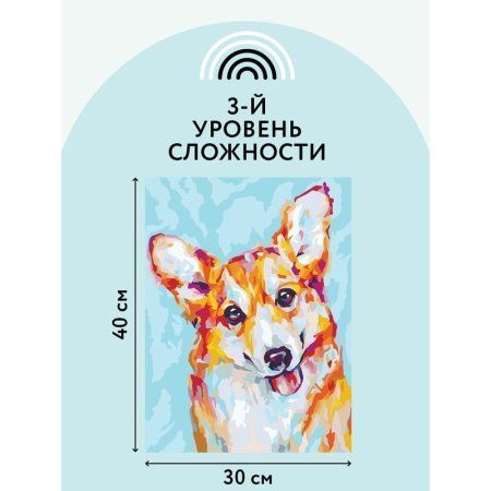 Картина по номерам на холсте ТРИ СОВЫ "Корги" 30 x 40 см с акриловыми красками и кистями RE-КХ_44101
