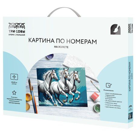 Картина по номерам на холсте ТРИ СОВЫ "Белая тройка" 40 x 50 см, краски, кисть RE-КХ4050_53930