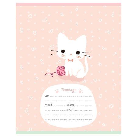 Тетрадь 12л. A5 клетка MESHU "Little kitty" RE-MS_50150/1