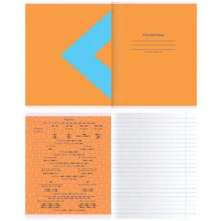 Тетрадь предметная 48л. MESHU "Bright splash" - Русский язык, матовая ламинация, выборочный УФ-лак RE-MS_42563