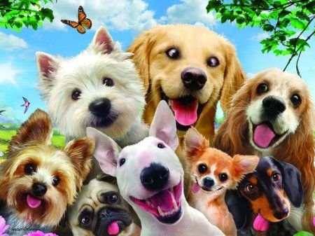 Стерео-пазл Prime 3D "Собаки селфи" 48 деталей, 3+ JZL-13535