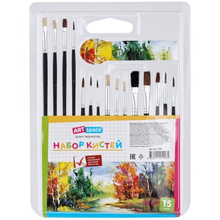 Набор кистей ArtSpace 15 шт пони, щетина, плоские, круглые, блистер RE-SB_3298