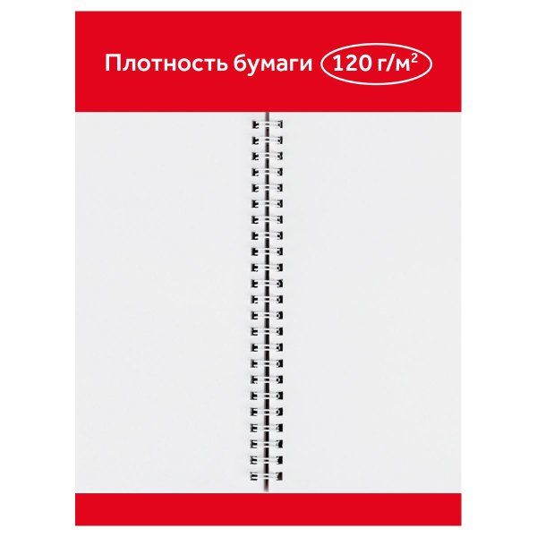 Альбом для рисования 24л. A4 ГАММА "Мультики" 120 г/м2 на гребне RE-20122022_24