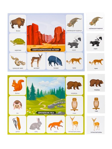 Лото "Зоопарк" большое 3+ KOR-05520