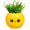 Набор для опытов ЭВРИКИ "Выращиваем травку" растение в горшочке - эмодзи "Милый" SIM-10588747
