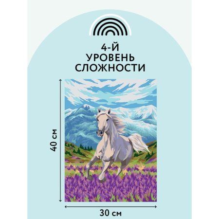 Картина по номерам на холсте ТРИ СОВЫ "Свобода" 30 x 40 см, краски, кисть RE-КХ_44094