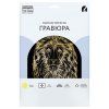 Гравюра с эффектом золота ТРИ СОВЫ А4 "Лев" RE-GA4_48271 Гравюра с эффектом золота ТРИ СОВЫ А4 "Лев" RE-GA4_48271