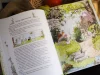 Книга: Тильда Яблочное Семечко. Ветер приключений MIF-691532 Книга: Тильда Яблочное Семечко. Ветер приключений MIF-691532