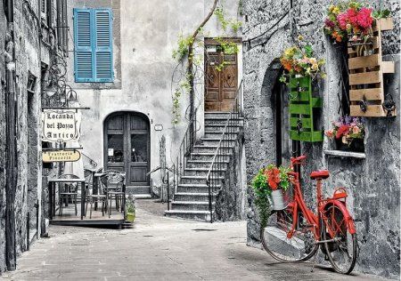 Пазл Castorland 500 Очаровательная аллея с красным велосипедом B-53339