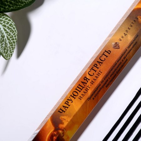 Благовония "Чарующая страсть" 20 палочек SIM-4887887