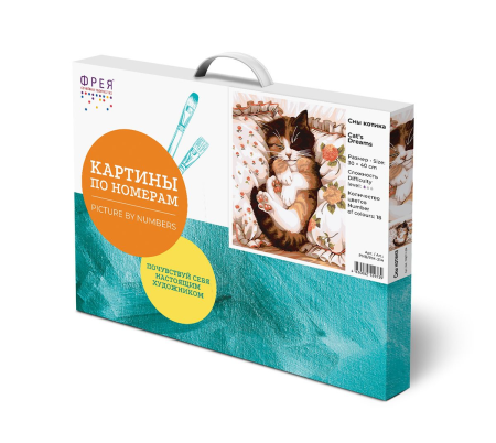 Набор для раскрашивания по номерам (холст на подрамнике) ФРЕЯ 40 х 30 см "Сны котика" PNB/PM-214