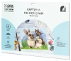 Картина по номерам на картоне ТРИ СОВЫ "Милые кролики" 30 x 40 см с акриловыми красками и кистями RE-КК_44036