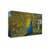 Пазл 500 элементов ФРЕЯ "Роскошный павлин" PZL-500/75