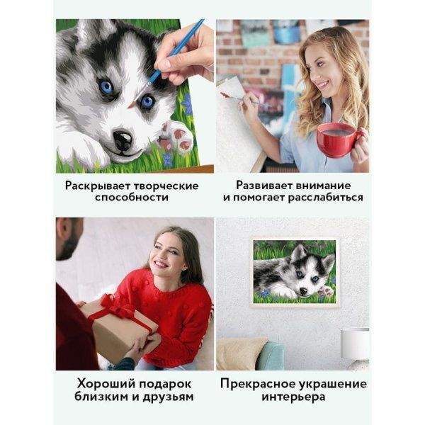 Картина по номерам на картоне ТРИ СОВЫ "Голубоглазый пушистик" 30 x 40 с акриловыми красками и кистями RE-КК_44043